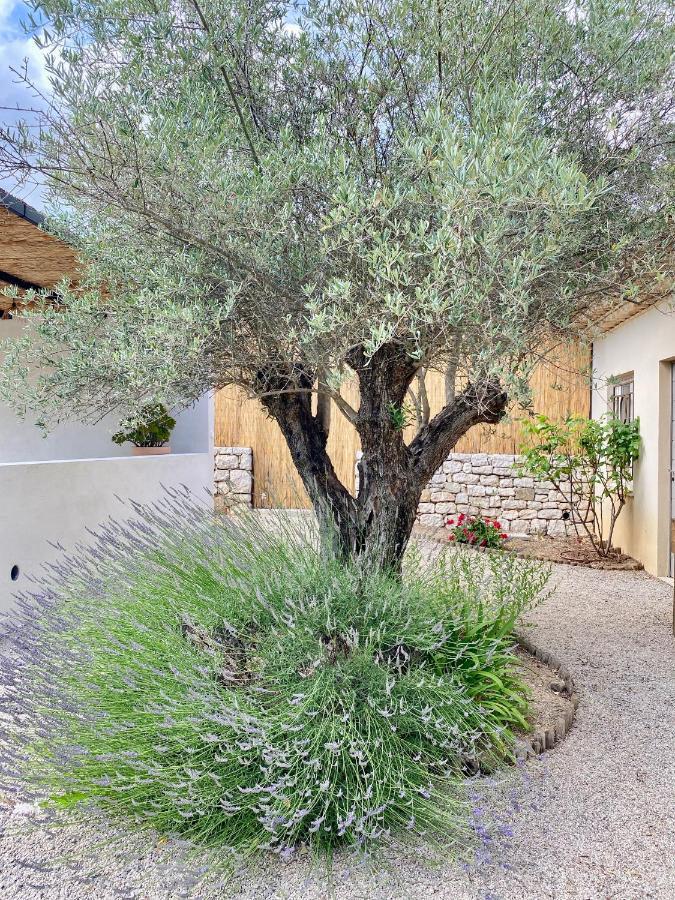Appartement Le Cabanon Valbonne Extérieur photo
